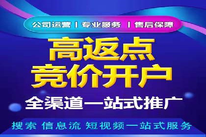 百度推广与SEO结合案例：提升网站排名的技巧